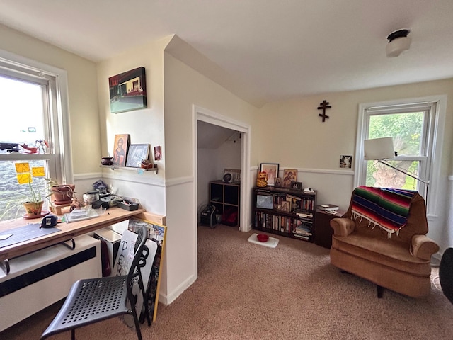 3821 Foss Rd, Saint Anthony, MN 55421 - office with carpet floors