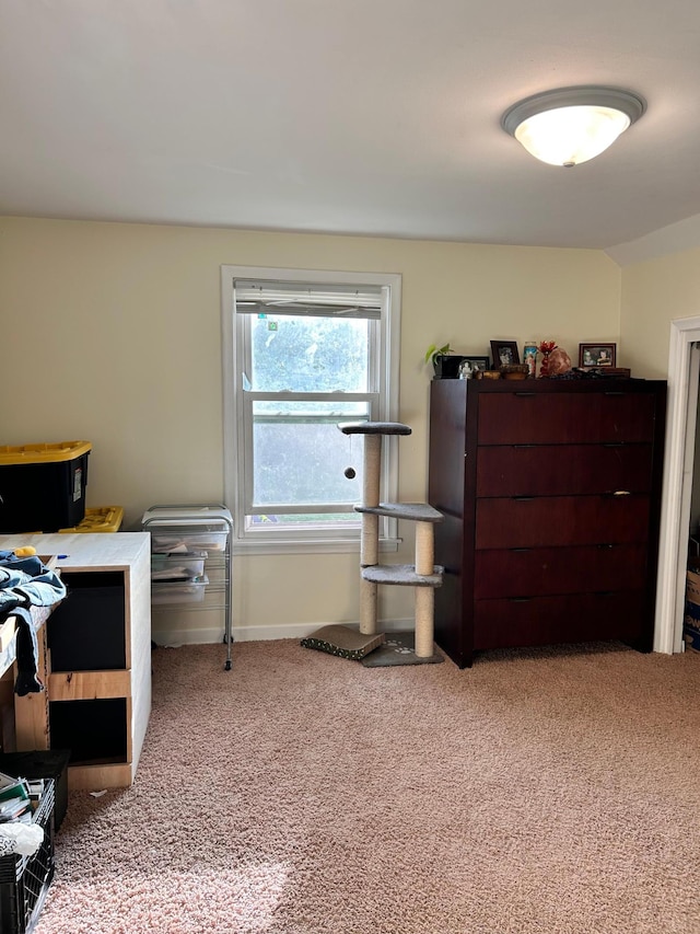 3821 Foss Rd, Saint Anthony, MN 55421 - bedroom with carpet floors and baseboards