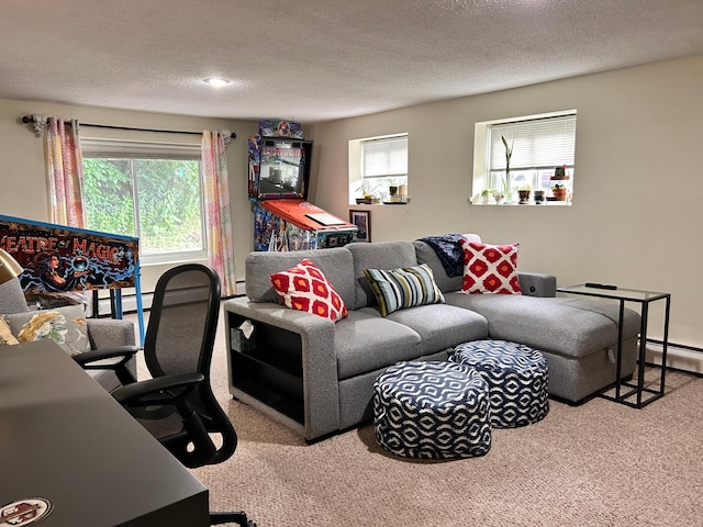 3821 Foss Rd, Saint Anthony, MN 55421 - office featuring carpet, healthy amount of natural light, a textured ceiling, a baseboard radiator, and a baseboard heating unit