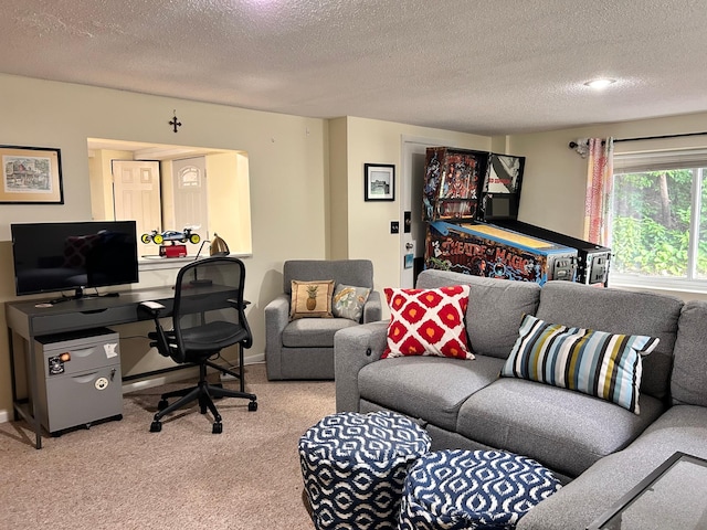 3821 Foss Rd, Saint Anthony, MN 55421 - living area featuring carpet, a textured ceiling, and a desk