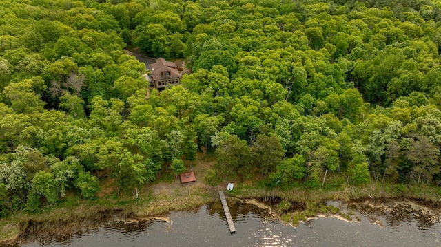 31767 Deacons Way, Pequot Lakes, MN 56472 - view of subject property featuring a forest and a large body of water