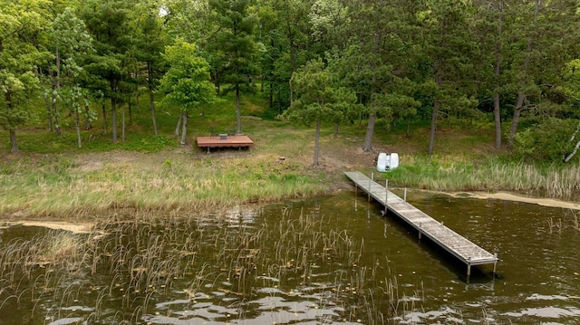 31767 Deacons Way, Pequot Lakes, MN 56472 - dock with a water view