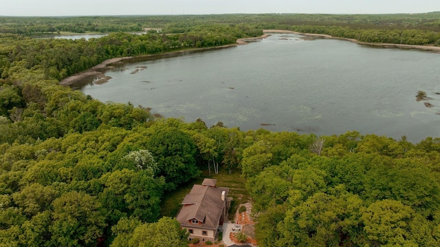 31767 Deacons Way, Pequot Lakes, MN 56472 - drone / aerial view of a heavily wooded area and a large body of water