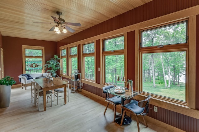 31767 Deacons Way, Pequot Lakes, MN 56472 - dining space with a ceiling fan, radiator, and light wood-style floors