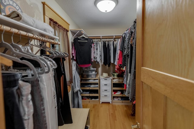 31767 Deacons Way, Pequot Lakes, MN 56472 - spacious closet with wood finished floors