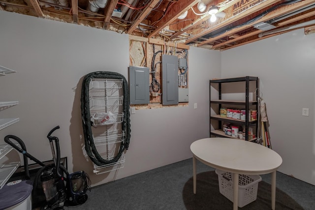 31767 Deacons Way, Pequot Lakes, MN 56472 - unfinished basement featuring electric panel and carpet flooring