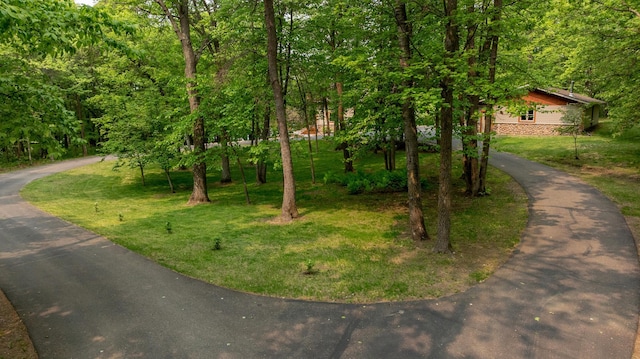 31767 Deacons Way, Pequot Lakes, MN 56472 - view of front of home with driveway, stone siding, and a front lawn