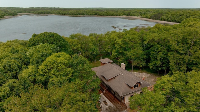 31767 Deacons Way, Pequot Lakes, MN 56472 - aerial view of a nearby body of water and a forest