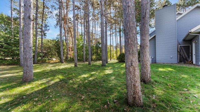 814 8th Ave N, Sartell, MN 56377 - view of grassy yard