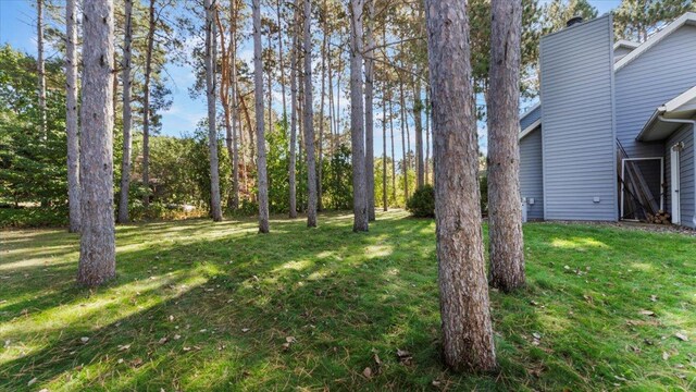 814 8th Ave N, Sartell, MN 56377 - photo 47