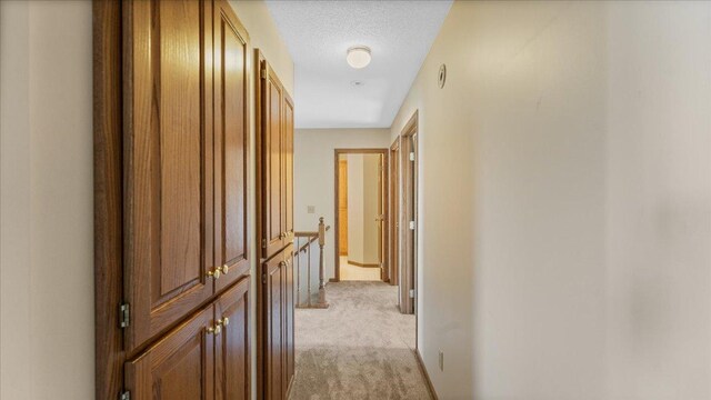 814 8th Ave N, Sartell, MN 56377 - photo 29
