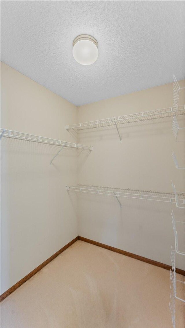 814 8th Ave N, Sartell, MN 56377 - photo 36