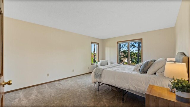 814 8th Ave N, Sartell, MN 56377 - photo 25