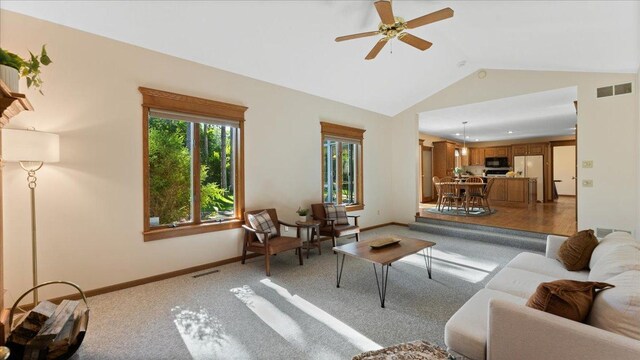 814 8th Ave N, Sartell, MN 56377 - photo 18
