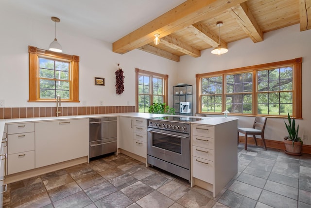 33245 Teal Ave, Shafer Twp, MN 55074 - kitchen featuring appliances with stainless steel finishes, white cabinetry, a wood ceiling with exposed beams, and light countertops