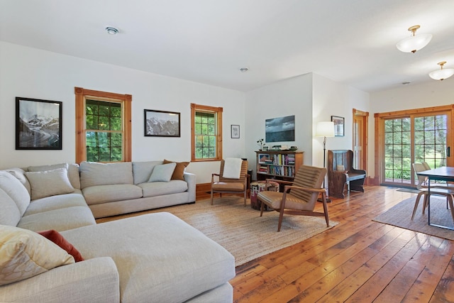33245 Teal Ave, Shafer Twp, MN 55074 - living area featuring wood-type flooring and healthy amount of natural light