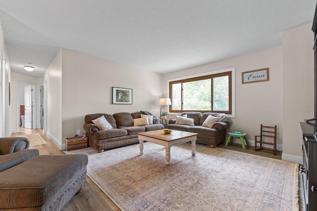 12816 95th Ave N, Maple Grove, MN 55369 - living area featuring light wood-style floors and a textured ceiling