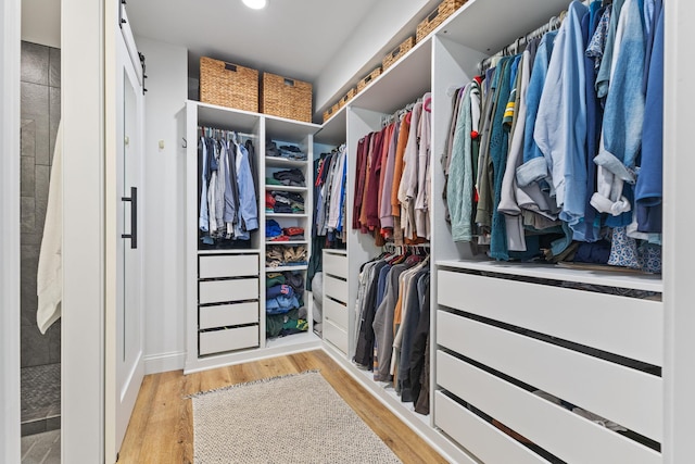 12816 95th Ave N, Maple Grove, MN 55369 - spacious closet with light wood-style floors