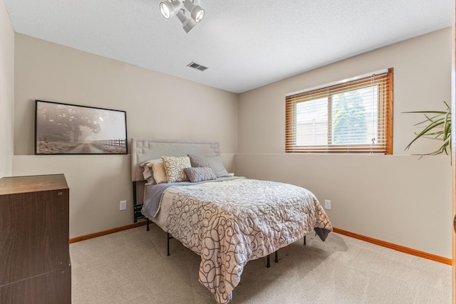 12816 95th Ave N, Maple Grove, MN 55369 - bedroom with carpet and a textured ceiling