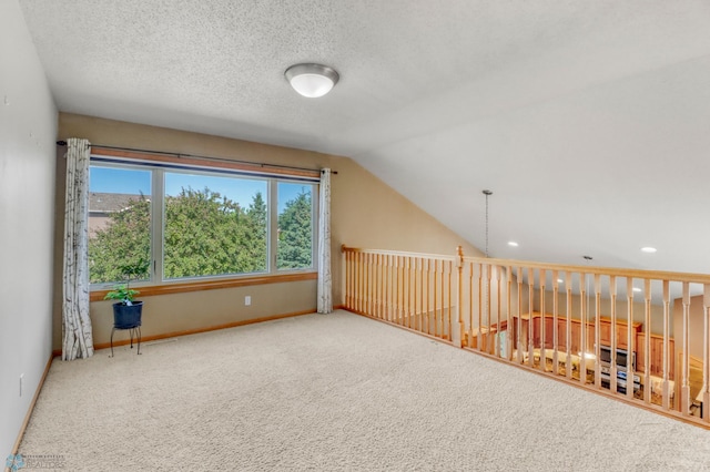 4375 58th St S, Fargo, ND 58104 - additional living space with plenty of natural light, carpet floors, and vaulted ceiling