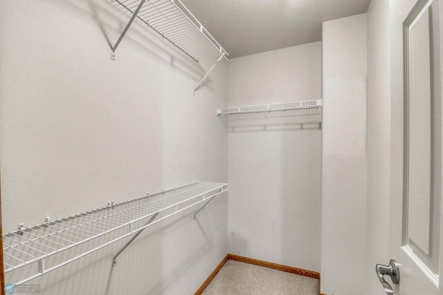 4375 58th St S, Fargo, ND 58104 - walk in closet with light carpet