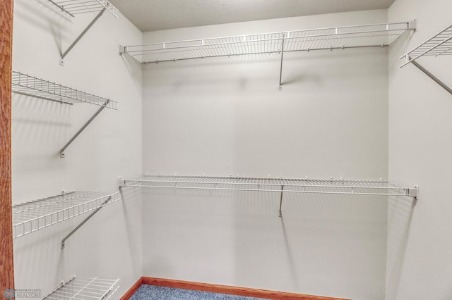 4375 58th St S, Fargo, ND 58104 - spacious closet with carpet