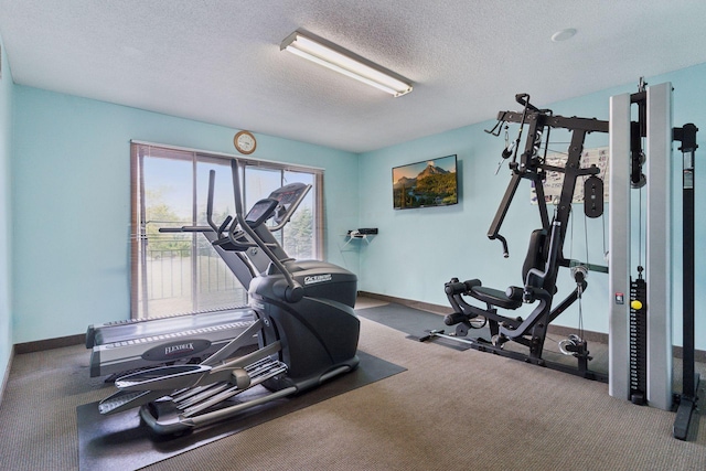 4100 Parklawn Ave Unit 118, Edina, MN 55435 - exercise area featuring carpet flooring and a textured ceiling