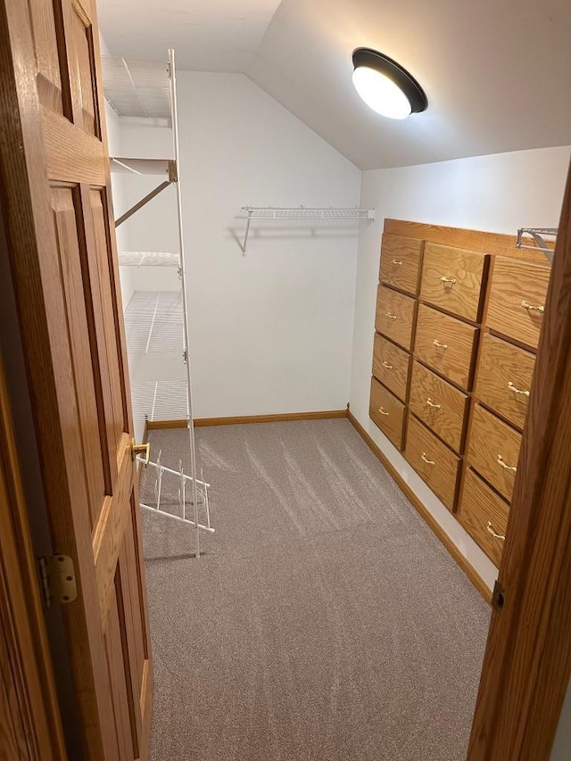 405 Fir Ave, Frazee, MN 56544 - walk in closet featuring carpet floors and vaulted ceiling