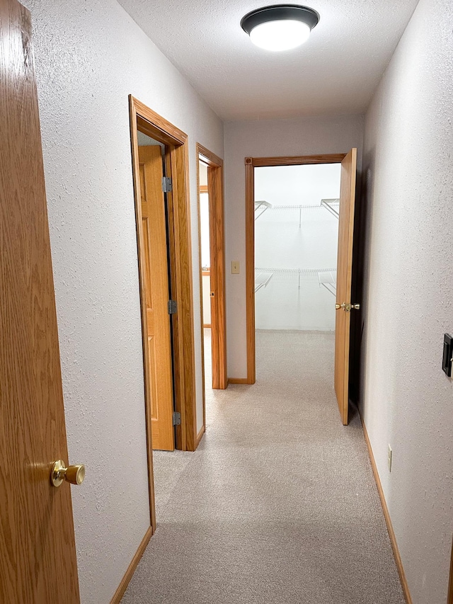 405 Fir Ave, Frazee, MN 56544 - hallway featuring carpet and a textured wall