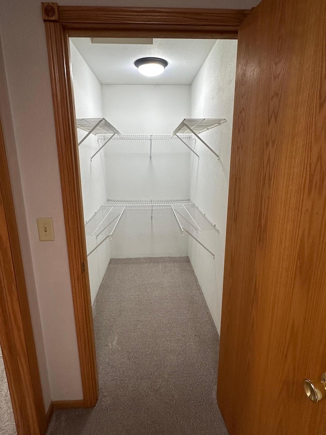 405 Fir Ave, Frazee, MN 56544 - walk in closet featuring carpet