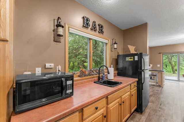 26943 140th St NW, Zimmerman, MN 55398 - kitchen with black appliances, a textured ceiling, light wood-style floors, and light countertops