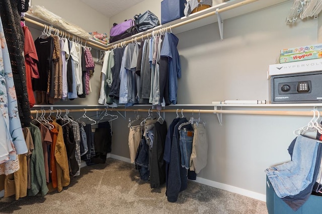 307 Brussels Ct, Marshall, MN 56258 - spacious closet featuring carpet flooring