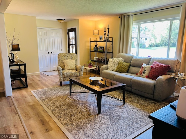 1904 Parkview Rd NE, Alexandria, MN 56308 - living room with plenty of natural light, light wood-type flooring, and a textured ceiling