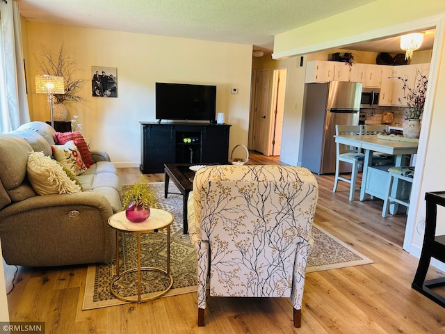 1904 Parkview Rd NE, Alexandria, MN 56308 - living room with light wood-type flooring
