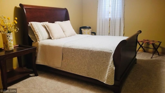 1904 Parkview Rd NE, Alexandria, MN 56308 - view of carpeted bedroom