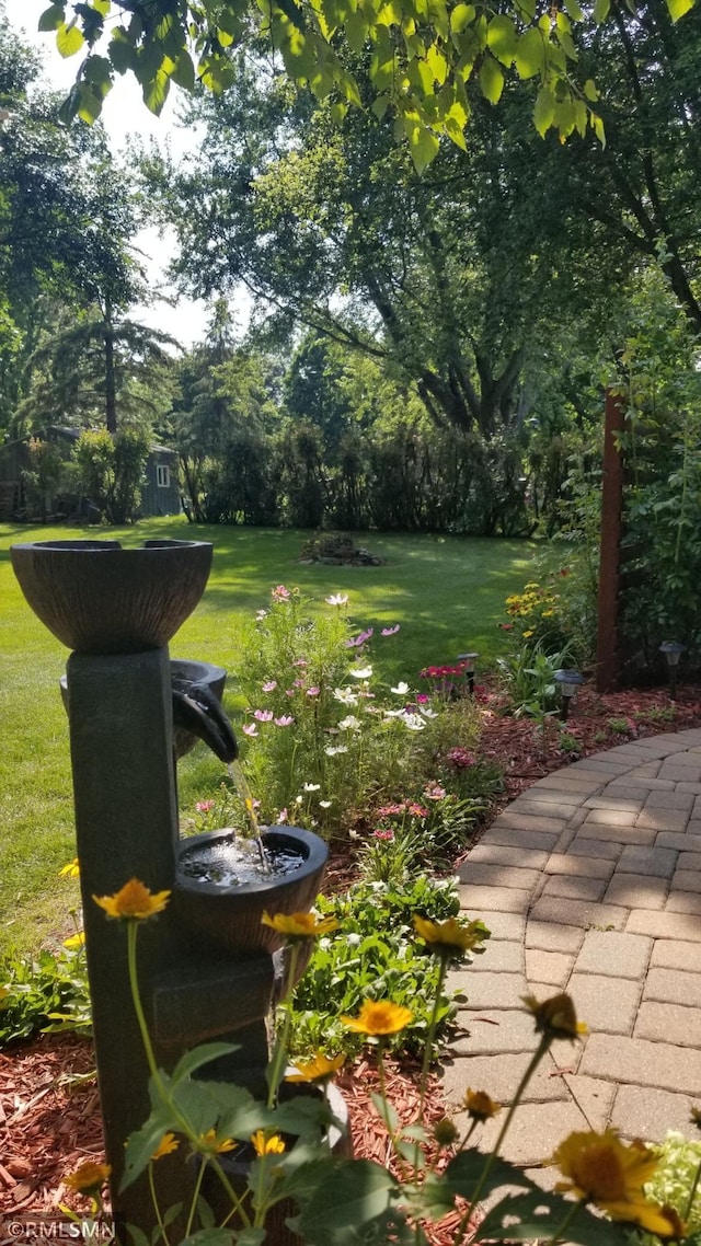 1904 Parkview Rd NE, Alexandria, MN 56308 - view of grassy yard