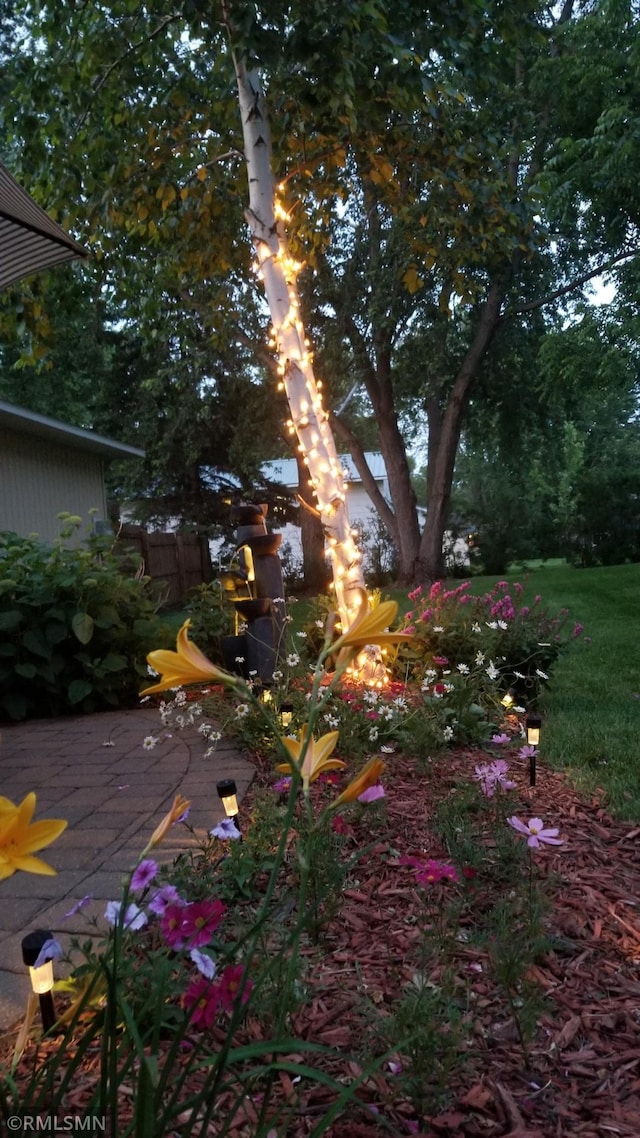 1904 Parkview Rd NE, Alexandria, MN 56308 - view of yard