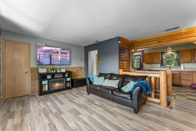 32873 Flanders St NE, Cambridge, MN 55008 - living area featuring light wood-type flooring, a textured ceiling, a glass covered fireplace, and wainscoting