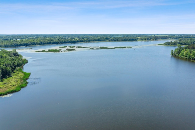 32873 Flanders St NE, Cambridge, MN 55008 - water view featuring a forest