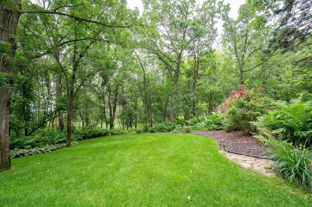 8980 160th Ln NW, Ramsey, MN 55303 - view of green lawn featuring a forest view