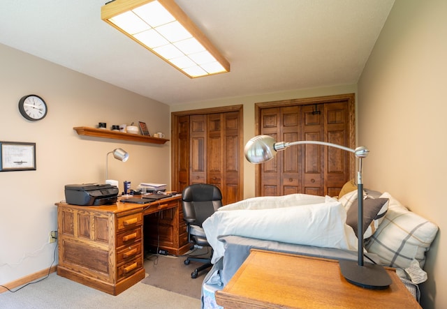 8980 160th Ln NW, Ramsey, MN 55303 - bedroom with multiple closets, carpet flooring, and an office area