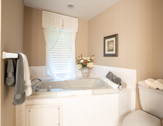 8980 160th Ln NW, Ramsey, MN 55303 - bathroom featuring a garden tub and toilet