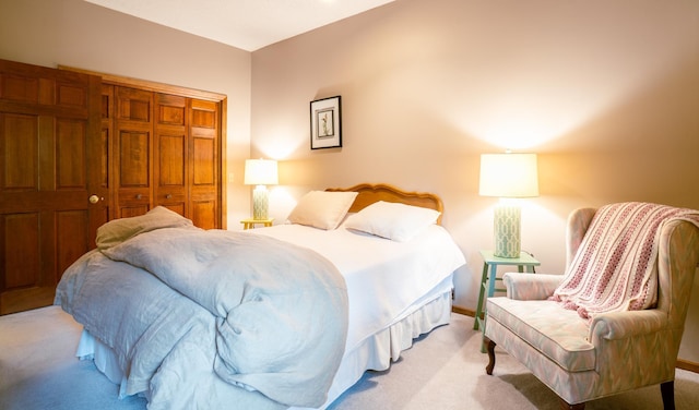 8980 160th Ln NW, Ramsey, MN 55303 - bedroom with light carpet and a closet