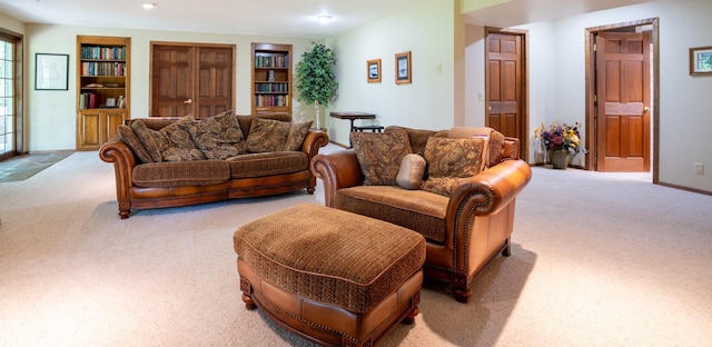 8980 160th Ln NW, Ramsey, MN 55303 - living room with carpet flooring and built in features