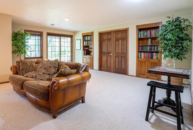 8980 160th Ln NW, Ramsey, MN 55303 - living area with carpet floors, built in shelves, and a textured ceiling