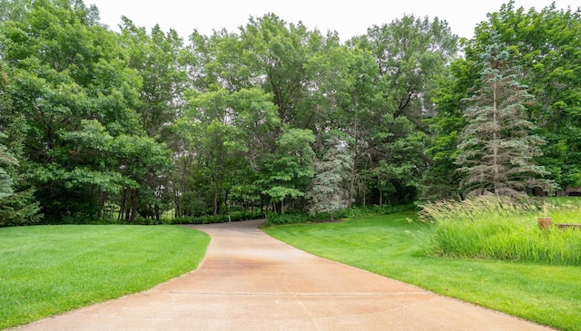 8980 160th Ln NW, Ramsey, MN 55303 - surrounding community featuring a yard