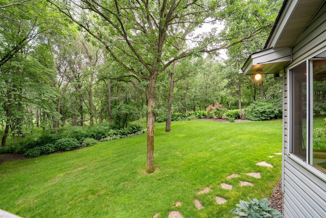8980 160th Ln NW, Ramsey, MN 55303 - view of grassy yard