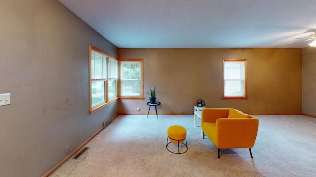 507 Hawthorne St, Albert Lea, MN 56007 - living area with carpet, plenty of natural light, and a ceiling fan