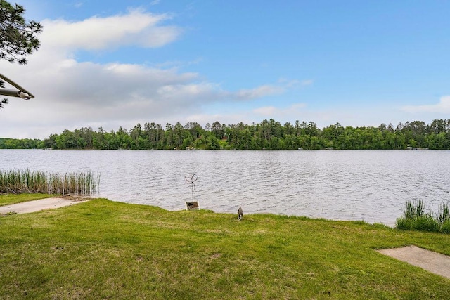 35761 Lake St, Cohasset, MN 55721 - photo 2