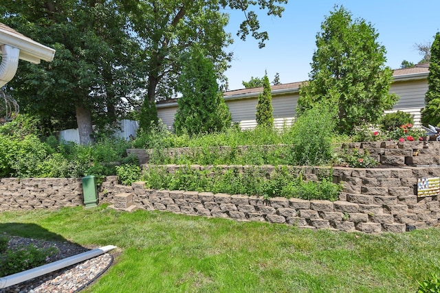 1021 18th Ave SE, Forest Lake, MN 55025 - view of green lawn